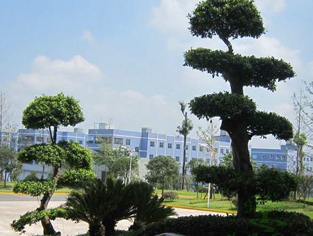 ��ؕ�O(ji��n)�z�G��ʩ������