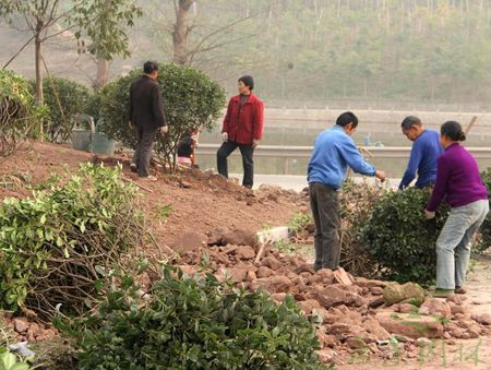 �ɾ��@�ֹ�˾����կ�(zh��n)�ش������r(n��ng)�彨�O(sh��)�G�������_��