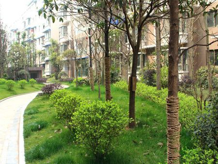 ��혱����г�С�^(q��)���ڹ���