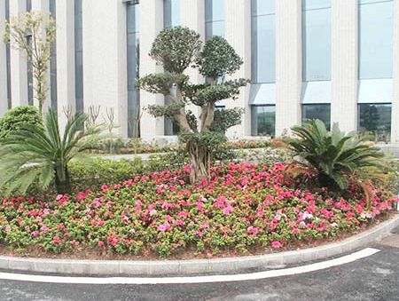 ��ؕ�бO(ji��n)�����Ķ�