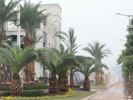 �Ϻ��I(l��ng)��1