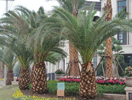 �Ϻ��I(l��ng)��2