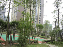 ���e���h(yu��n)�_������һ�ھG������