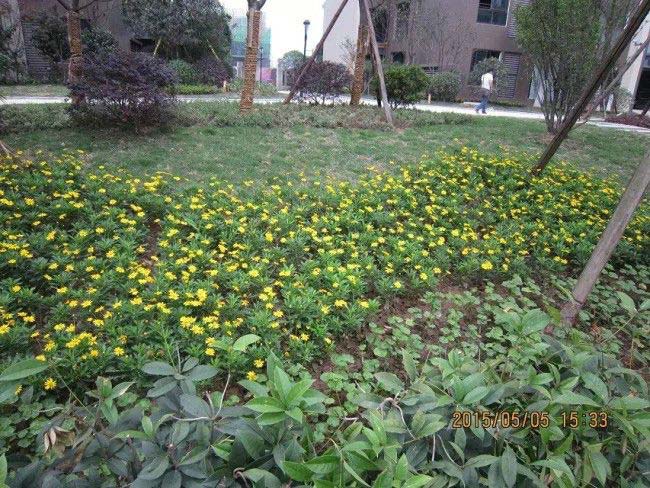 ���e���h(yu��n)�_������һ�ھG������