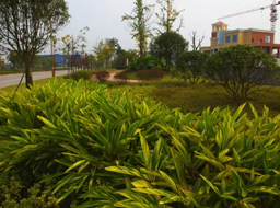 ���h(hu��n)·����Ƥ������|����H.���ϼҾ߳ǶξG��