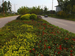 ���h(hu��n)·����Ƥ������|����H.���ϼҾ߳ǶξG��