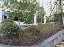 �ǺӇ��H�G�������^