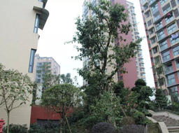 �ǺӇ�(gu��)�H�G�������^