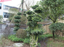 �ǺӇ�(gu��)�H�G�������^