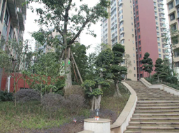 �ǺӇ�(gu��)�H�G�������^