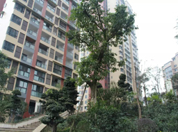 �ǺӇ�(gu��)�H�G�������^