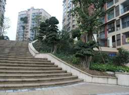 �ǺӇ��H�G�������^