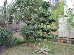 �ǺӇ��H�G�������^