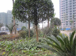 �h(yu��n)�_(d��).����Ҽ̖�G�����^�����⹤��