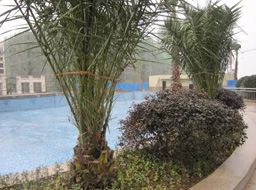 �h�_.����Ҽ̖�G�����^�����⹤��