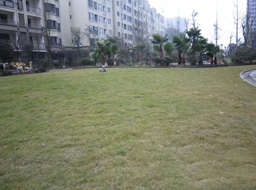 �h(yu��n)�_(d��).����Ҽ̖(h��o)�G�����^�����⹤��