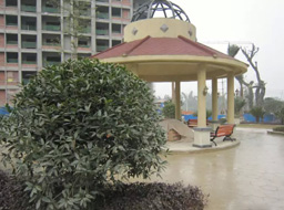 �h(yu��n)�_(d��).����Ҽ̖(h��o)�G�����^�����⹤��