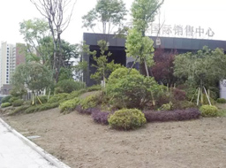 �VԪ�Є��w�h�㽭���H