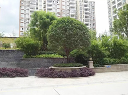 �VԪ�Є��w�h�㽭���H