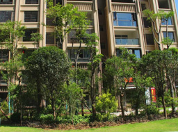 ��֦���h(yu��n)�_(d��)���۾��Aͥ