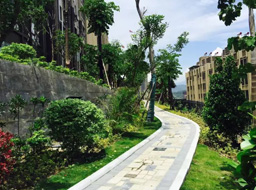 ��֦���h(yu��n)�_(d��)���۾��Aͥ