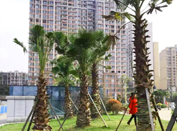 ��혿h���w����