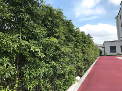 �Ĵ�ʡ��(n��i)���O(ji��n)�z