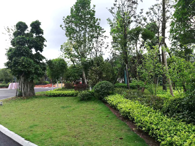 �Ĵ�ʡ��(n��i)���O(ji��n)�z