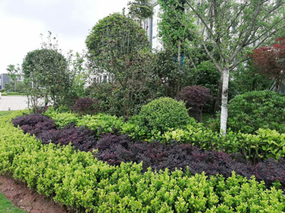 �Ĵ�ʡ��(n��i)���O(ji��n)�z