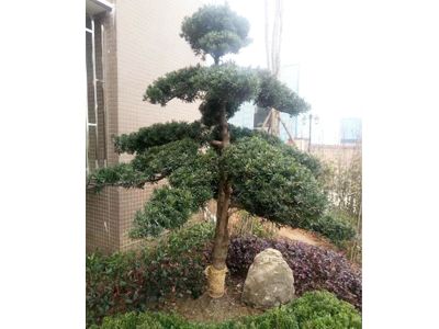 �s�h˽�һ��@