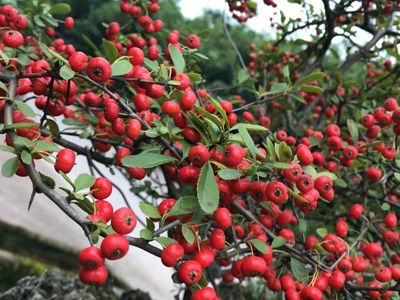 �s�h˽�һ��@