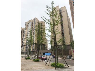 ��� ��������