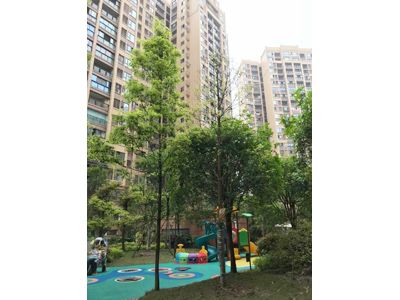 ��� ��������