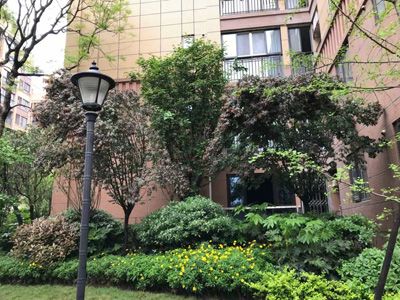 ��� ��������