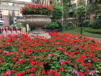 ��� ��������