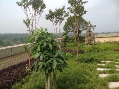 �Ĵ����i��|����ɷ����޹�˾--�k���Ҵ����픻��@