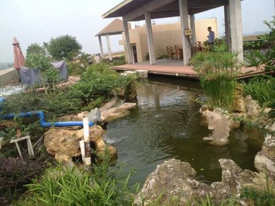 �Ĵ����i��|����ɷ����޹�˾--�k���Ҵ����픻��@