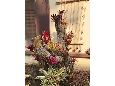 �ն����H���r�➑ͥ