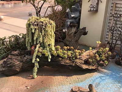 �ն����H���r�➑ͥ