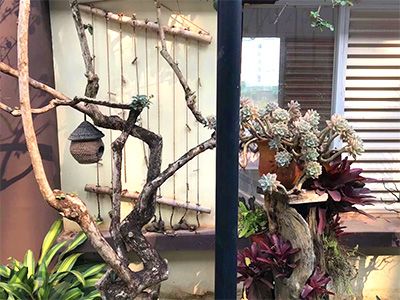 �ն����H���r�➑ͥ