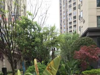 �����m���⾰�^���G��