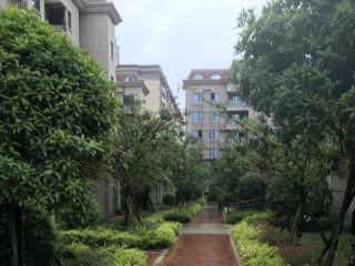 �����m���⾰�^���G��